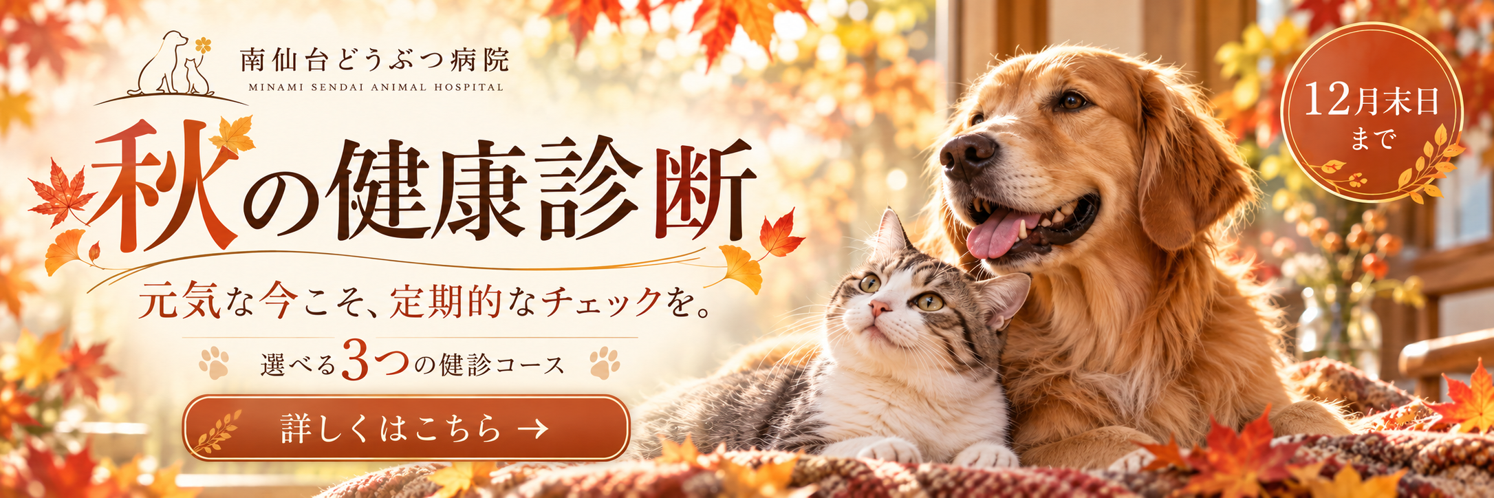 2026年秋の健康診断
