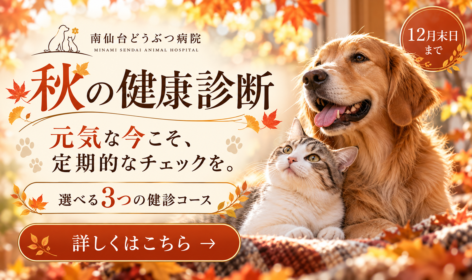 2026年秋の健康診断